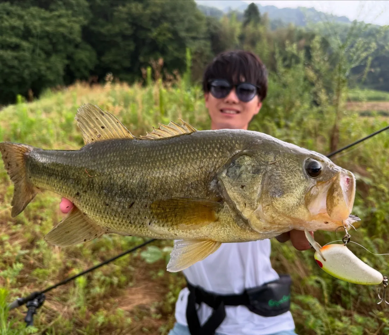 フィールドで釣り上げたブラックバス